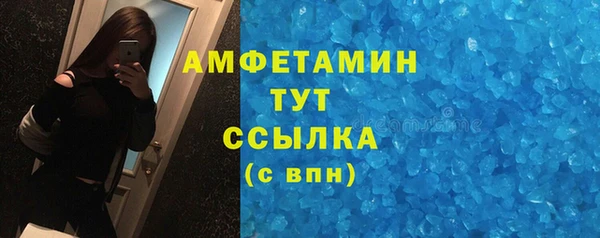 шишки Аркадак