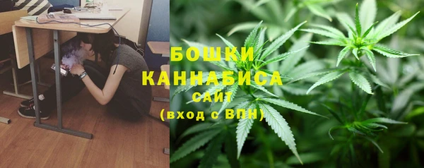 гашик Арсеньев