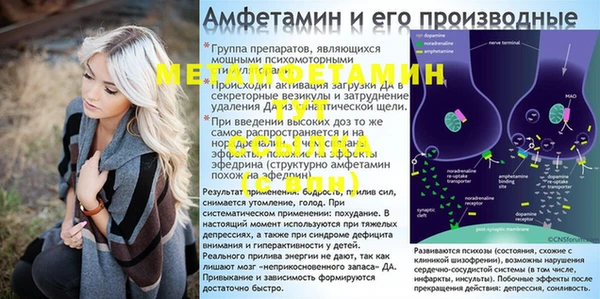 гашик Арсеньев