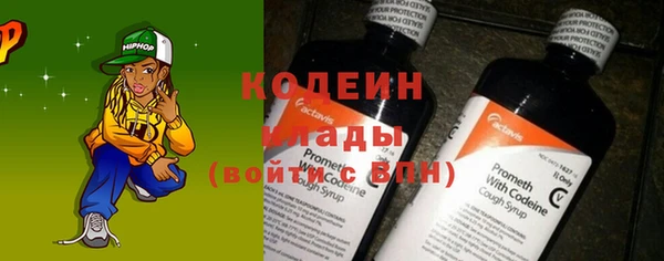 шишки Аркадак