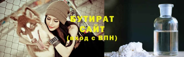 шишки Аркадак
