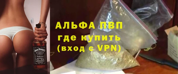 гашик Арсеньев
