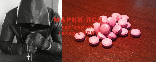шишки Аркадак