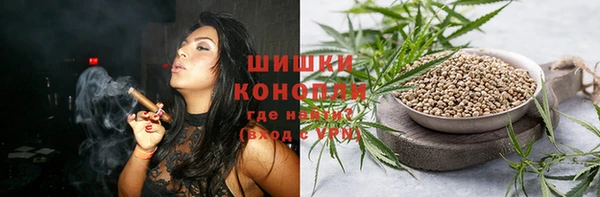 гашик Арсеньев
