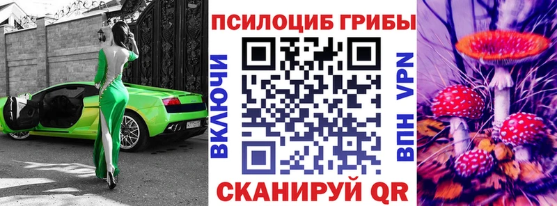 Галлюциногенные грибы прущие грибы  Таруса 