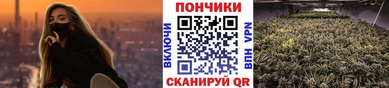 Марихуана конопля  Таруса 